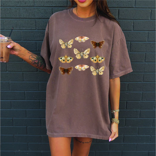 Fall moths (Adult)
